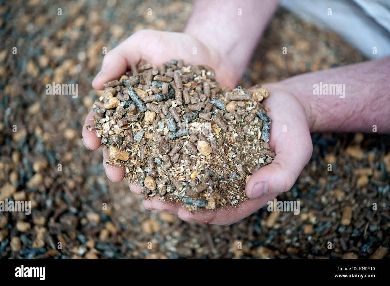 Vermeire Nahrungsmittel Sprl in Leuze-en-Hainaut, Belgien: Futtermittel Produktion und Lagerung Stockfoto