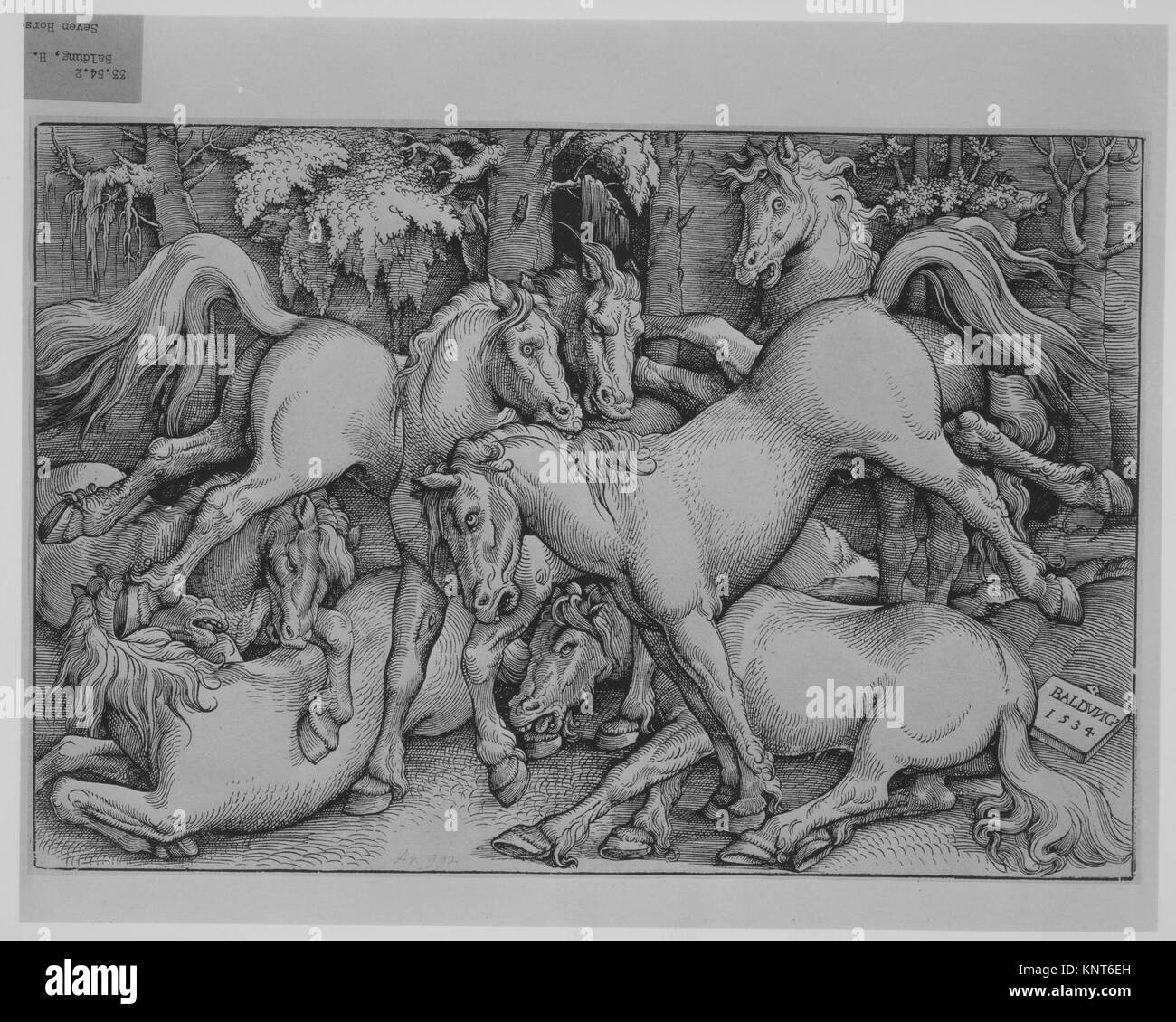 Eine Darstellung von sieben Pferden zusammen, die Anatomie, Haltung und Bewegung innerhalb einer künstlerischen Komposition veranschaulicht. Stockfoto