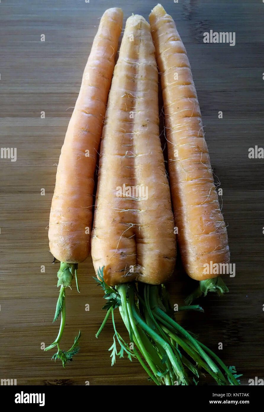 Bio-Karotten Stockfoto