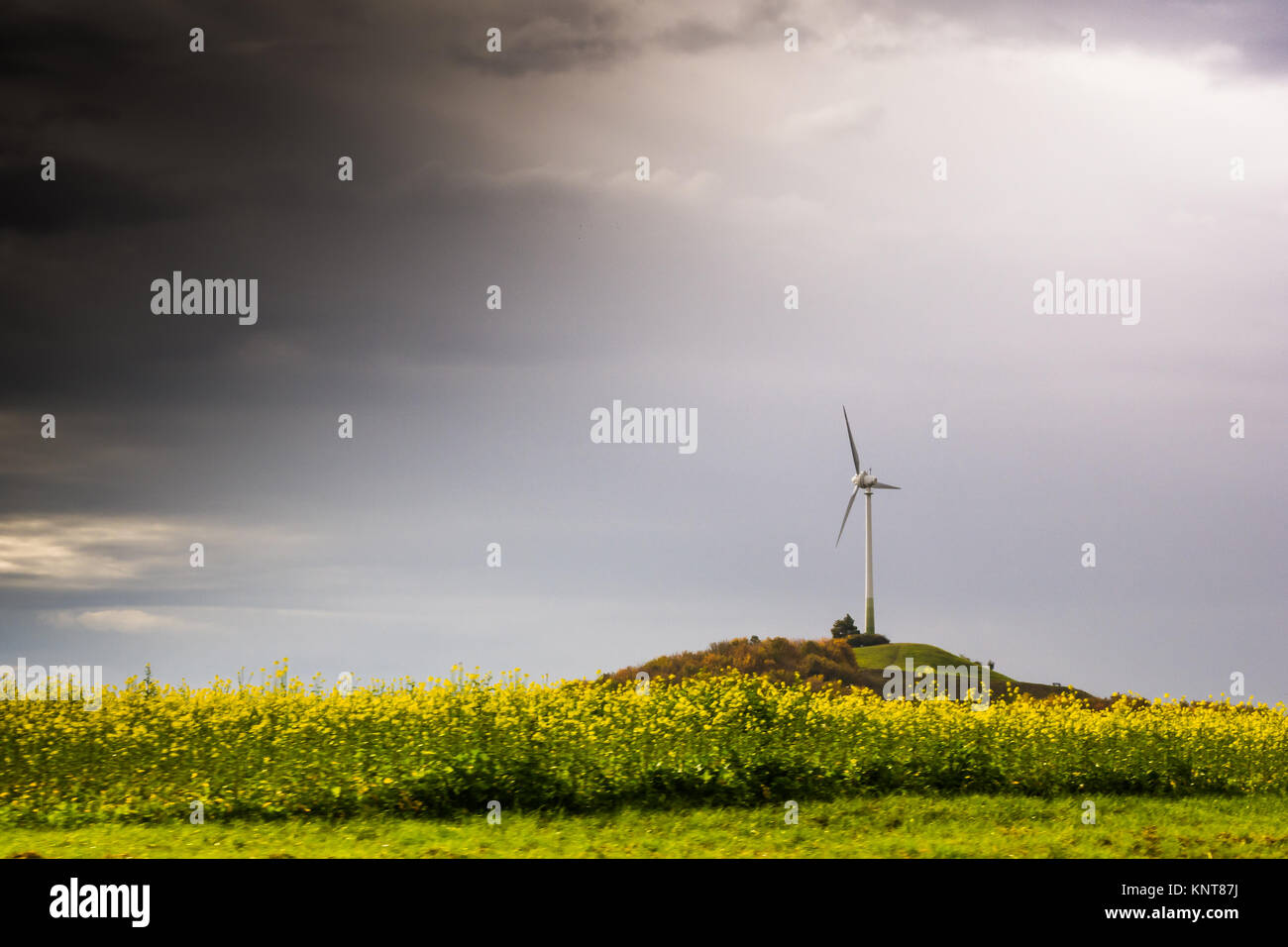 Single Turbine Windmill Hill Blumen gelb Fahren Autobahn Bewegungsunschärfe Landschaft trübes Wetter Nachhaltige Energie Deutschland Europa Grüne Wolken Himmel Stockfoto