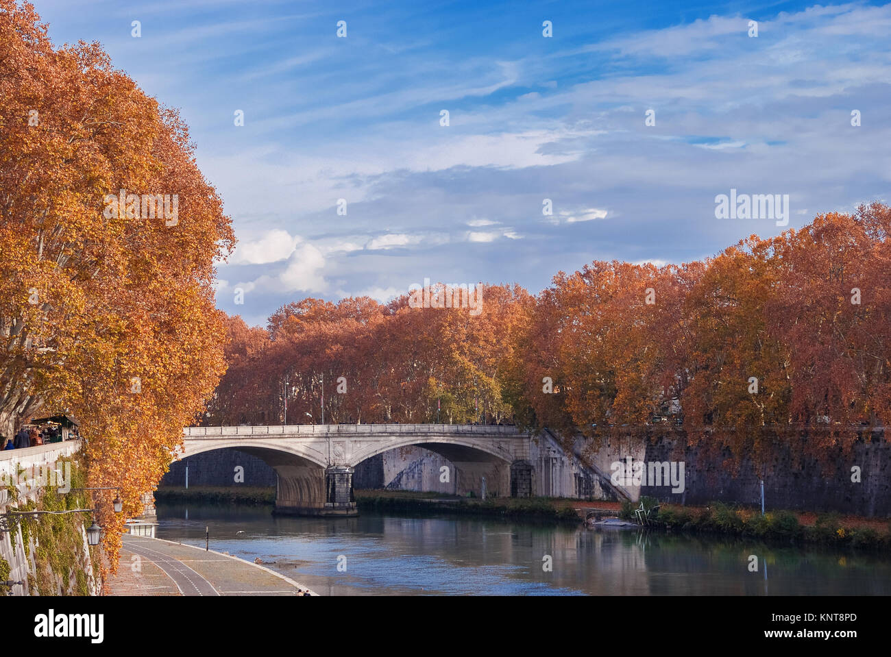 Blätter im Herbst am Ufer des Flusses Tiber in Rom Stockfoto Blätter im Herbst am Ufer des Flusses Tiber in Rom Stockfoto