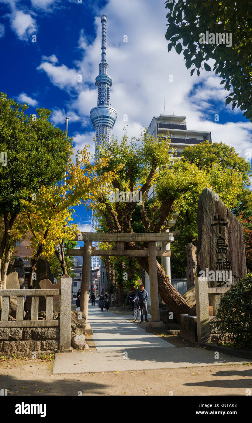 Moderne und Tradition in Japan. Tokio Skytree hinter einem alten Tempel Stockfoto