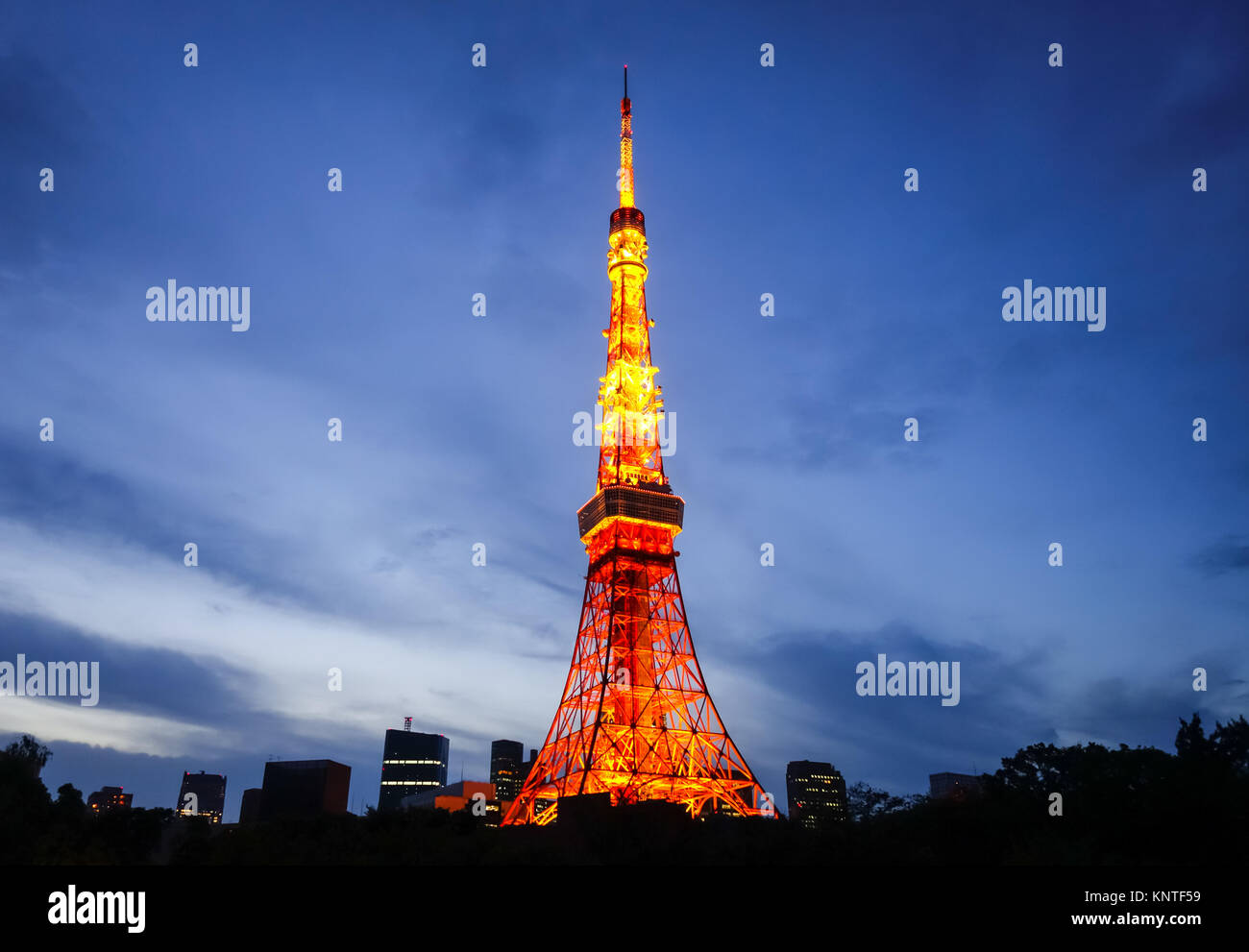 Tokyo Tower und die Stadt bei Nacht, Japan Stockfoto