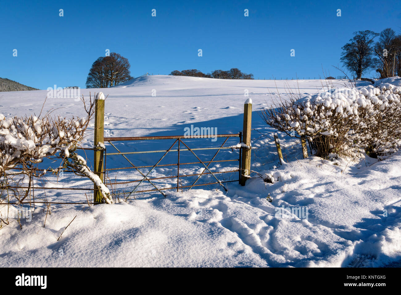 Snowy Szene North Wales. Vale von Llangollen. Fünf bar farm Gate. Stockfoto