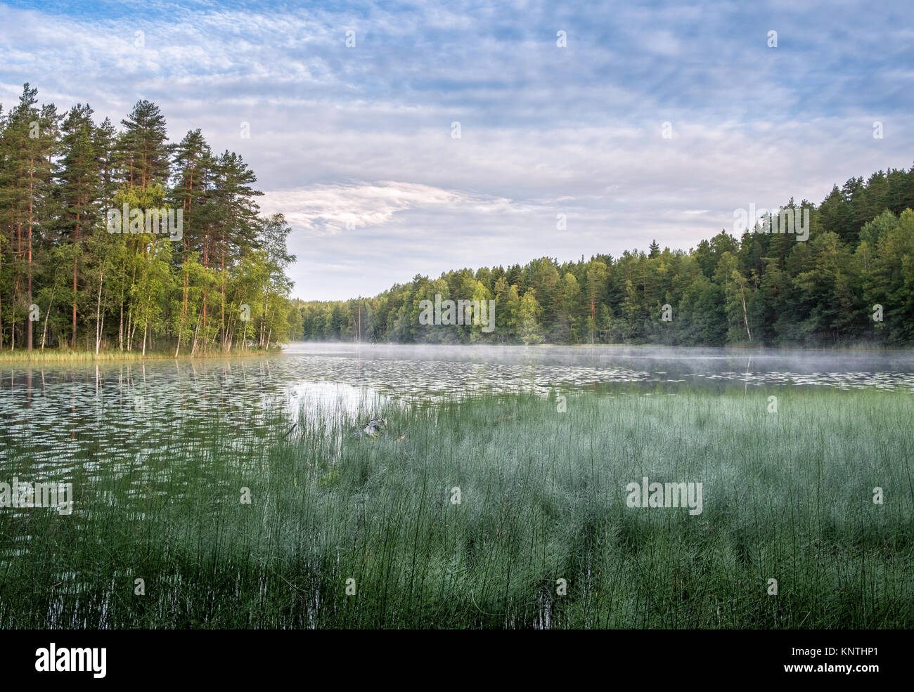 Friedliche Morgenstimmung mit herrlichem Seeblick im Herbst in Nuuksio Nationalpark, Finnland Stockfoto