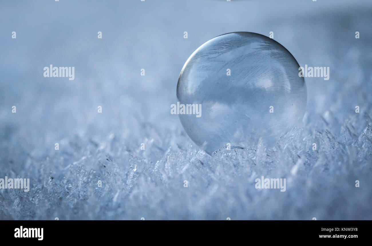 Zarte gefroren Seifenblase in der Dämmerung, Sonnenaufgang, Jack Frost, Eis, kalt, eiskalt Stockfoto