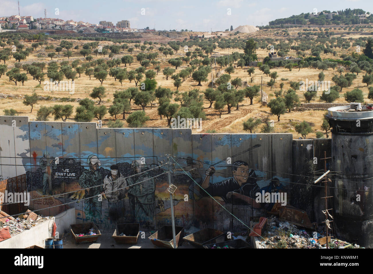 Ansicht der Trennmauer, Olivenhain und Abrechnung von Aida Refugee Camp, Bethlehem, West Bank, Palästina Stockfoto