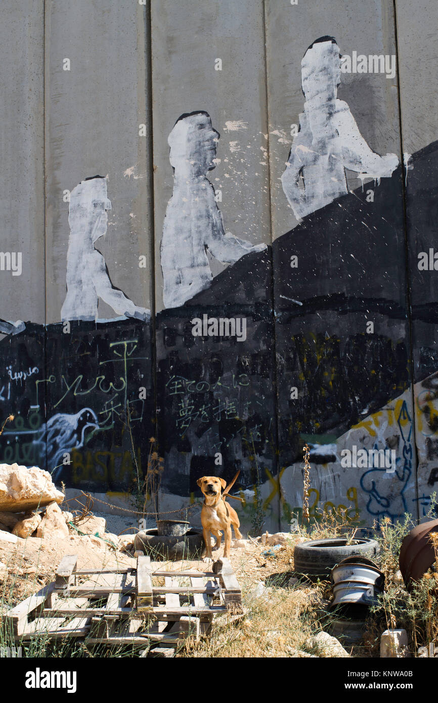 Hund wachen Wall Art auf der Trennungsmauer in den Aida Refugee Camp, Bethlehem, West Bank, Palästina Stockfoto