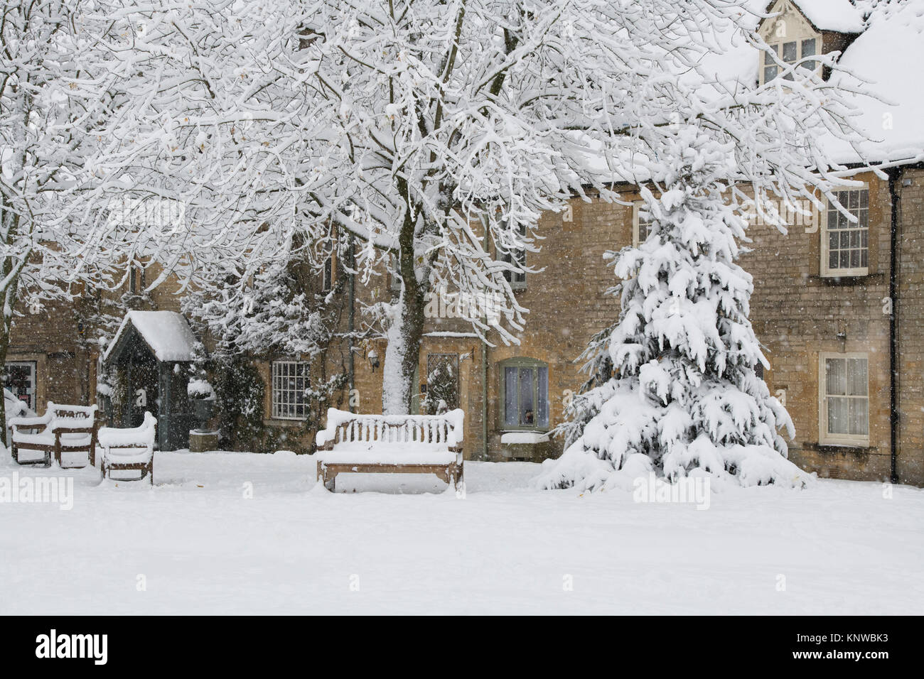 Fallende Schnee, der den Marktplatz Weihnachtsbaum in Wold, Cotswolds, Gloucestershire, England Stockfoto