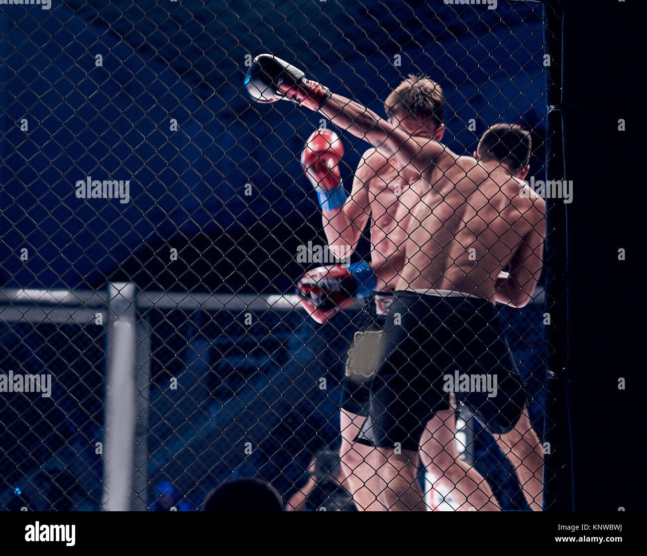 MMA in einem Käfig Stockfoto