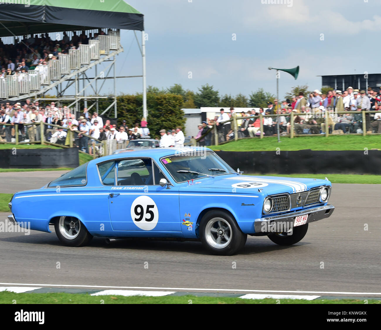 Duncan Pittaway, Tim Dutton, Plymouth Barracuda, 900 WA, Shelby Schale, Goodwood Revival 2014, 2014, Automobil, Autosport, Goodwood Revival, Goodwood Re Stockfoto