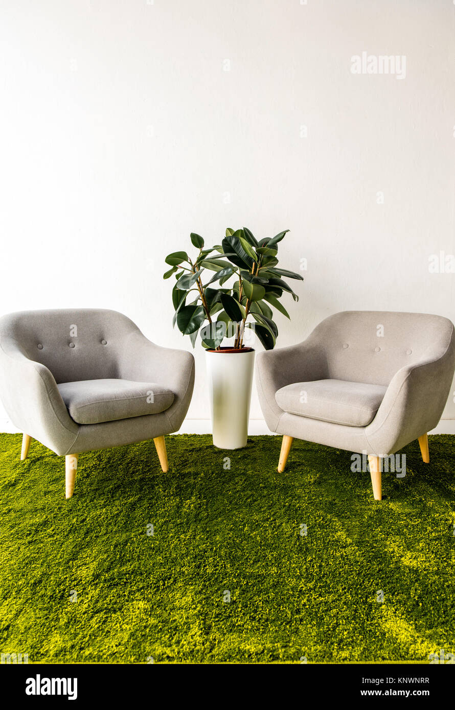Grüne Pflanze zwischen zwei Sessel Stockfoto