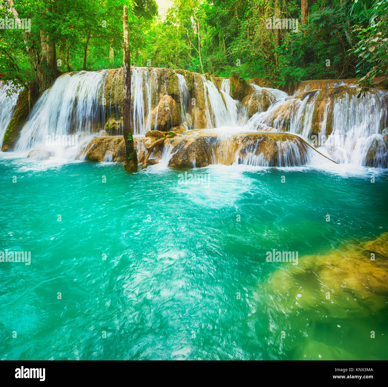 Tat Sae Wasserfällen. Schöne Landschaft, Luang Prabang, Laos. Stockfoto