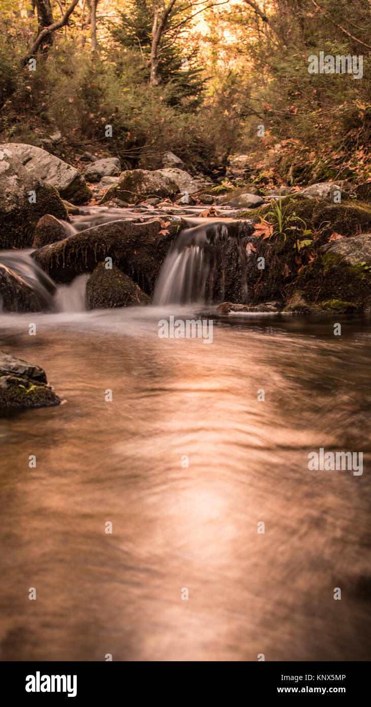 Natürliche Wasser Bach im Wald in Berg Dirfi in Griechenland Stockfoto