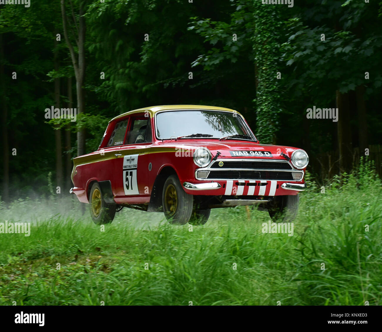 Simon Wallis, Ford Lotus Cortina Mk1, NAB945D, Forest rally Stage, Goodwood FoS 2015, 2015, Classic, Staub, Unterhaltung, furchtlos, Festival der Spee Stockfoto