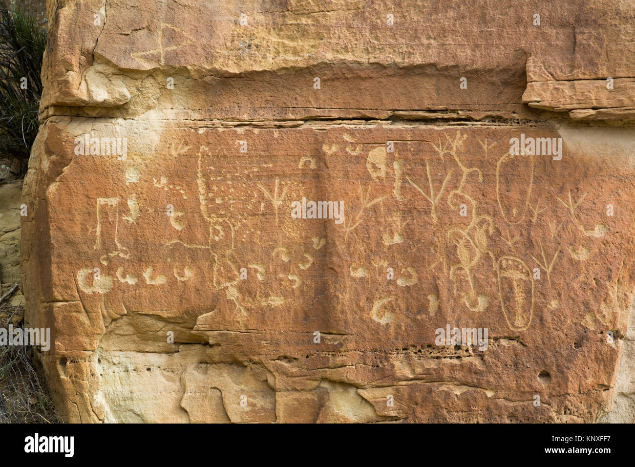 Petroglyphen, die bis zu 1.500 Jahre alt, Crow Canyon, New Mexico, USA Stockfoto