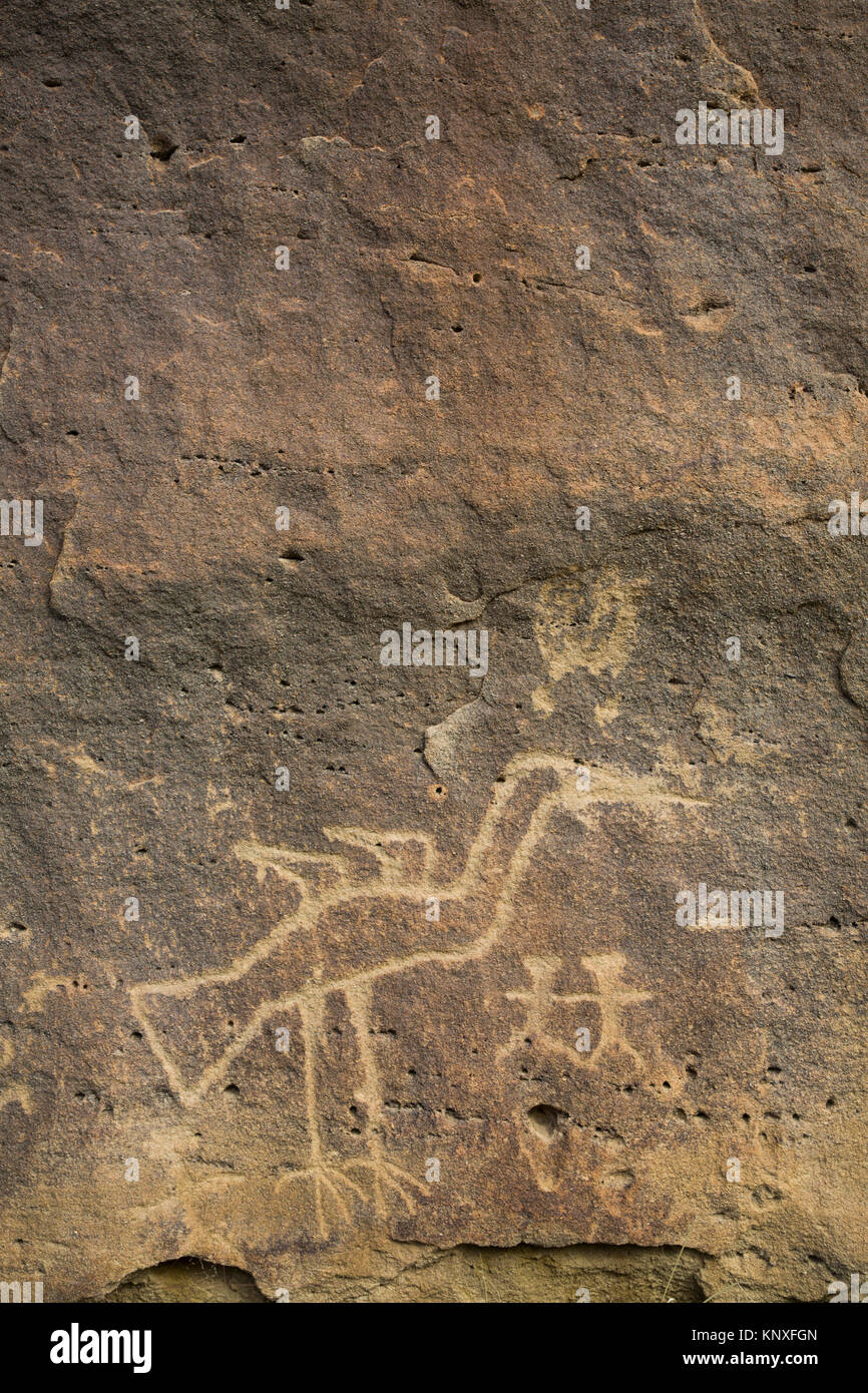 Petroglyphen, die bis zu 1.500 Jahre alt, Crow Canyon, New Mexico, USA Stockfoto