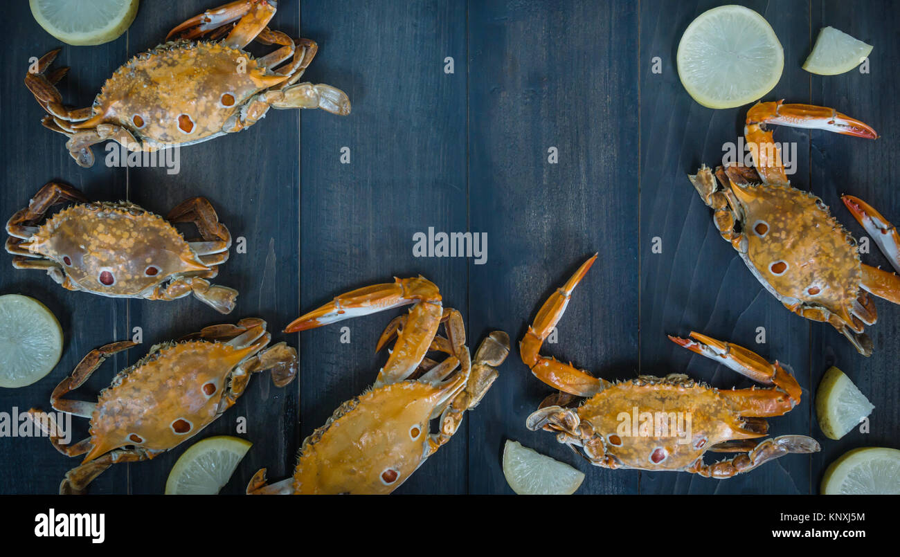 Essen Rahmen mit Krustentieren. Krabbe auf hölzernen Hintergrund Stockfoto