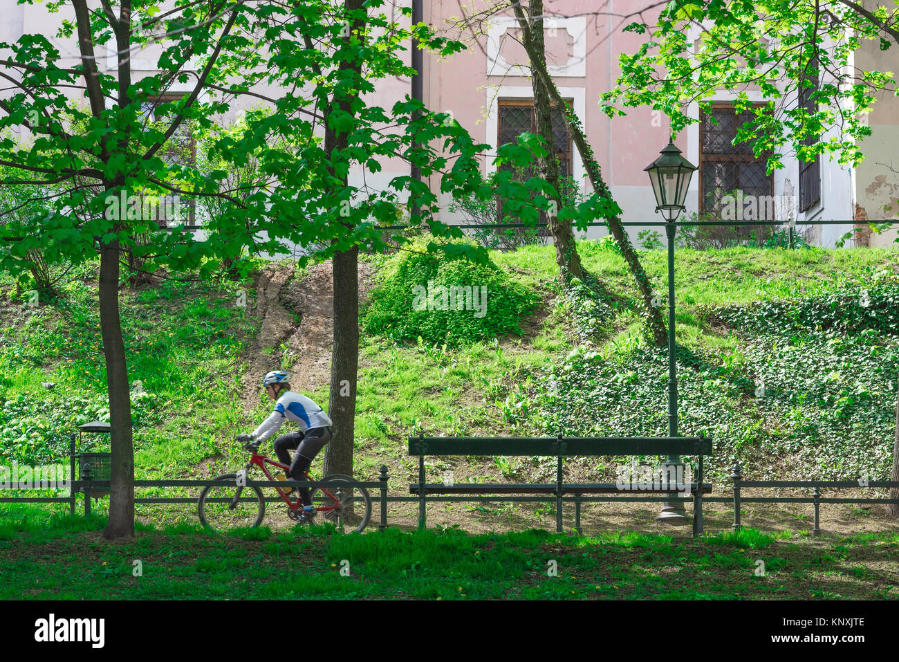 Männliche radfahren Park, auf einen späten Frühling Morgen ein Mann Zyklen entlang einer von Bäumen gesäumten Pfad in Planty Park, Krakau, Polen. Stockfoto