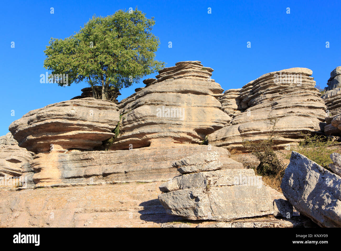 Eine ungewöhnliche karst Felsformation im El Torcal de Antequera Nature Reserve, südlich der Stadt Antequera in der Provinz Malaga, Spanien Stockfoto