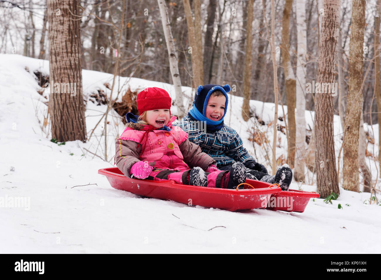Bruder und Schwestern (5 und 3 Jahre alt) zusammen Schlitteln in Quebec im Winter Stockfoto