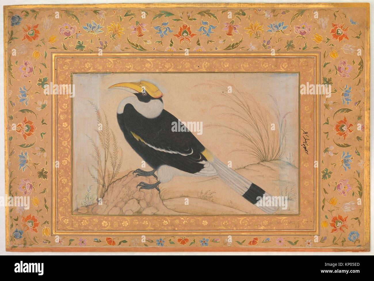Great Hornbill, Folio aus dem Shah Jahan Album. Artist: Gemälde von Mansur (aktive Ca. 1589-1626); Kalligraph: Mir 'Ali Haravi (d. Ca. 1550); Stockfoto