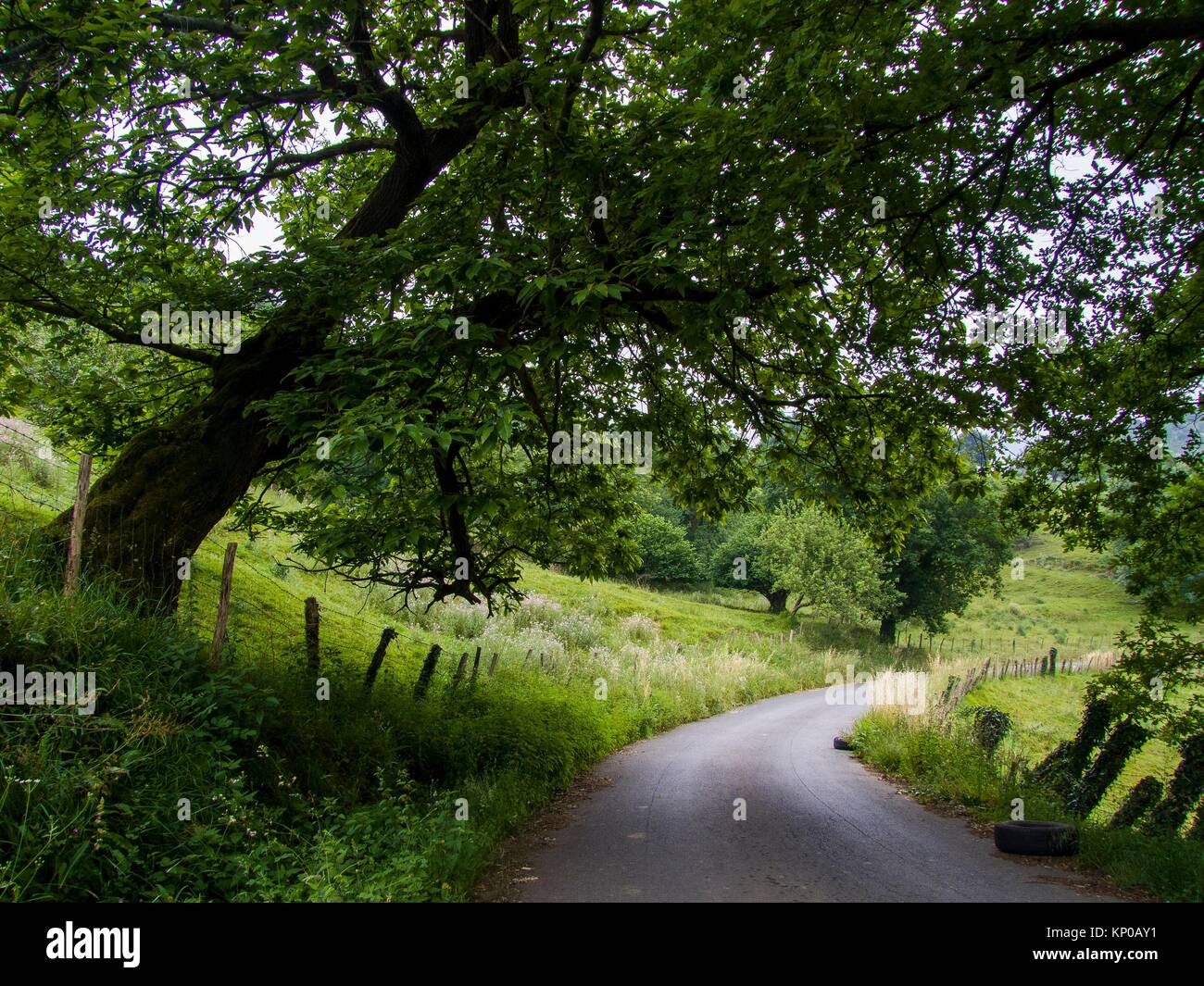 Entorno Rural en Ramales de la Victoria. Kantabrien. España. Europa ...