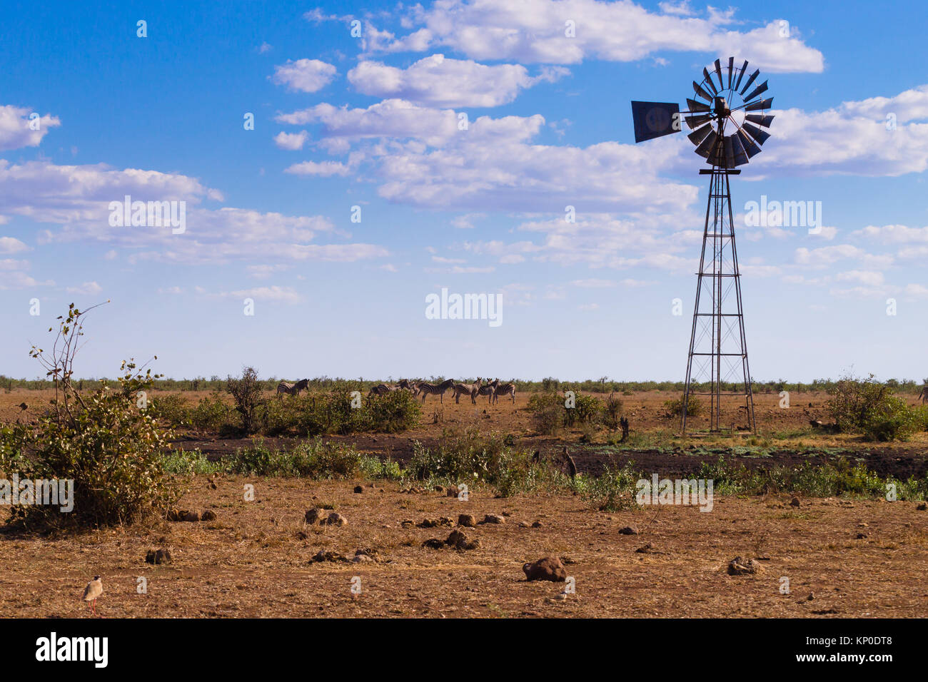 Mühle für das Pumpen von Wasser vom Kruger National Park. Südafrikanische Panorama. Landschaft aus Afrika Stockfoto