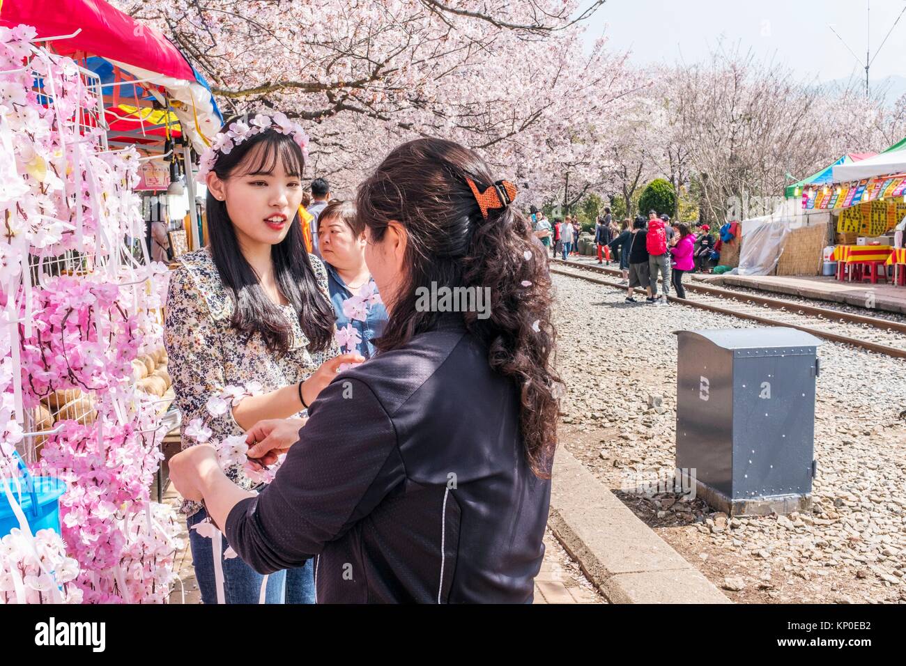Jinhae Cherry Blossom Festival in Südkorea, Gyeonghwayeok Zug