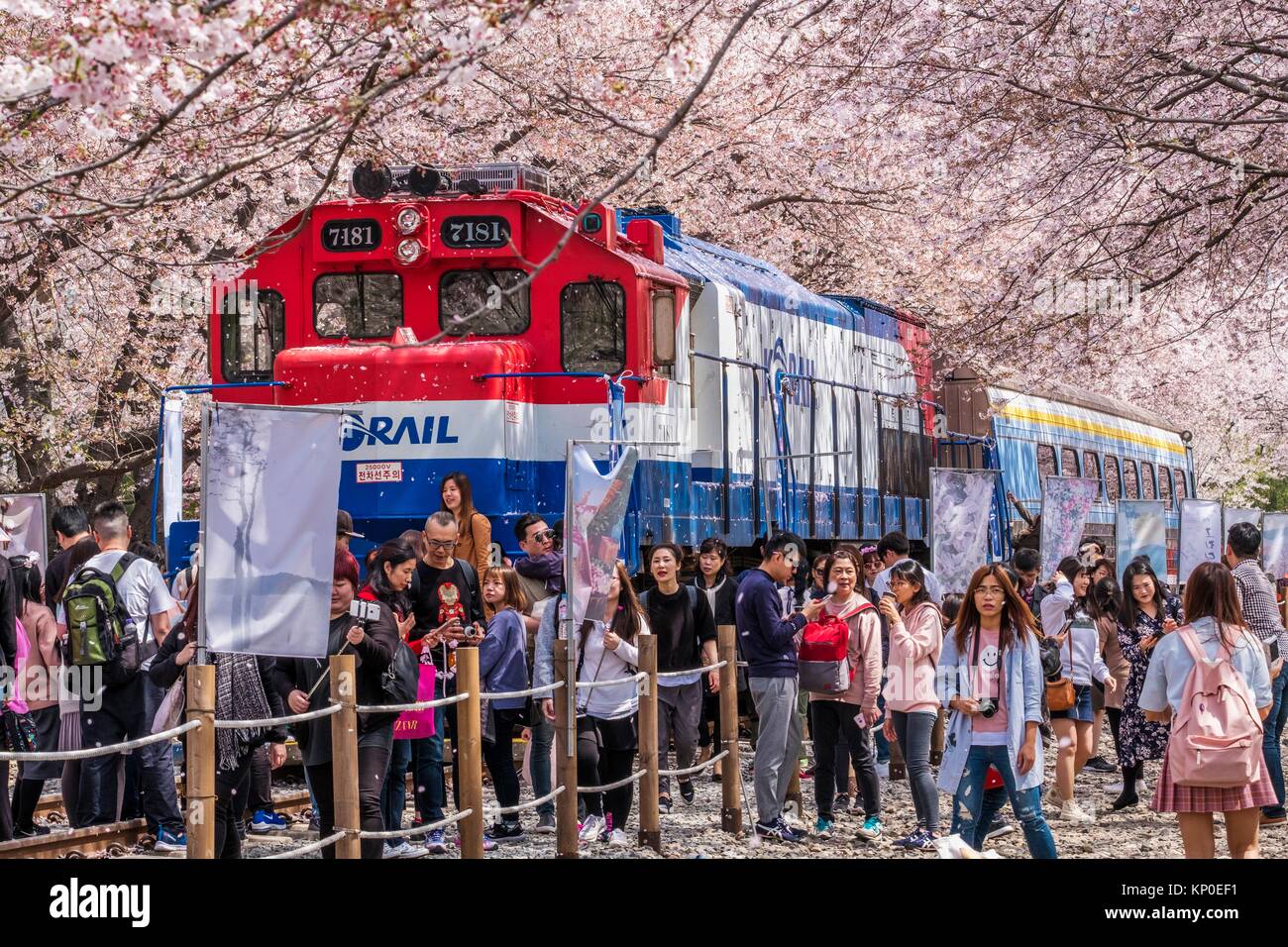 Bahnhof der kirschbaumbahn Fotos und Bildmaterial in hoher Auflösung