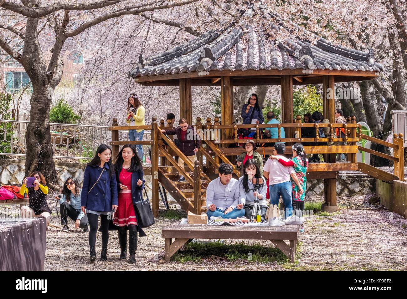 Bahnhof der kirschbaumbahn Fotos und Bildmaterial in hoher Auflösung