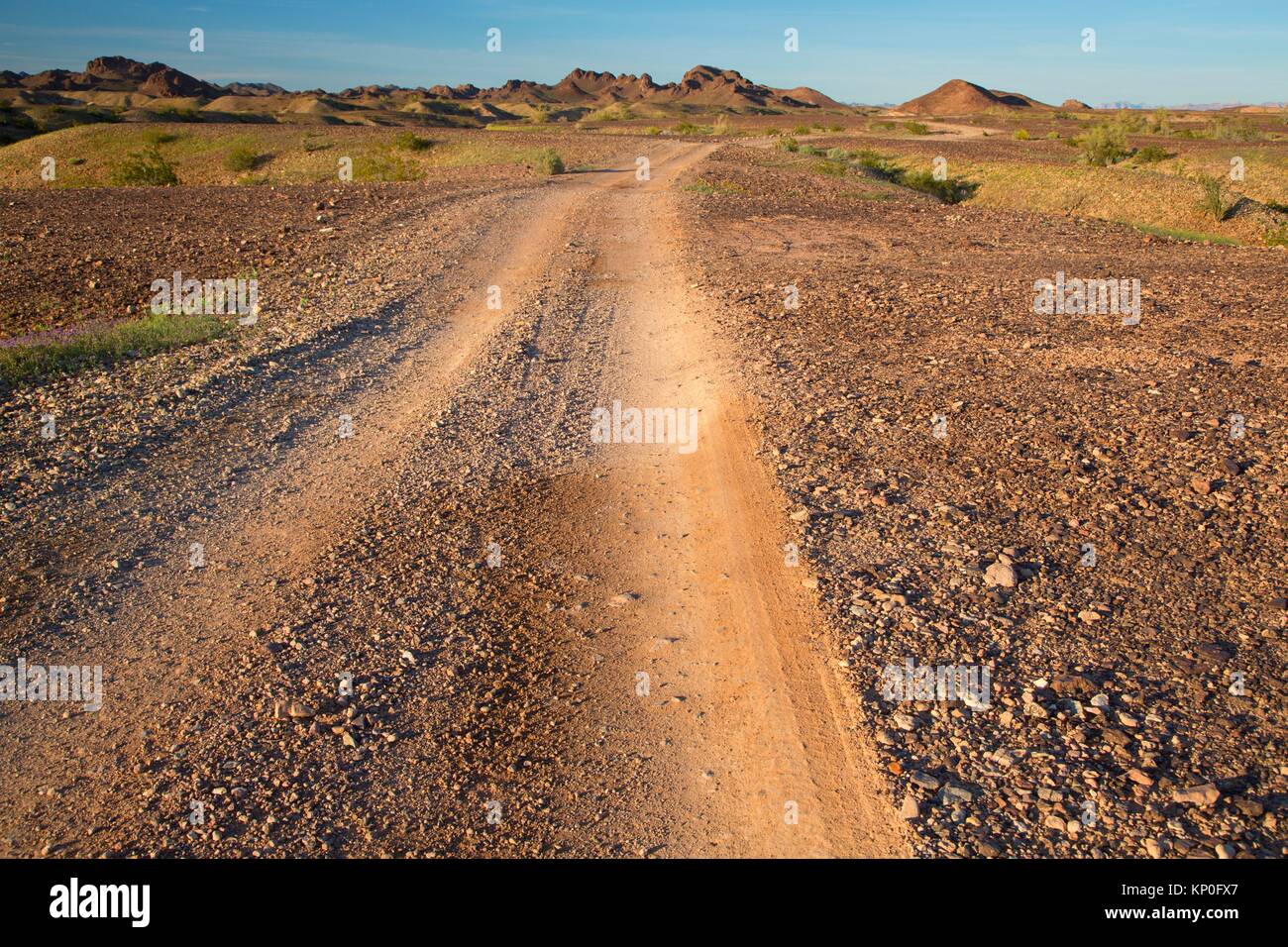 Zuflucht Straße bei Mesquite Beobachtungspunkt, Imperial National Wildlife Refuge, Arizona. Stockfoto