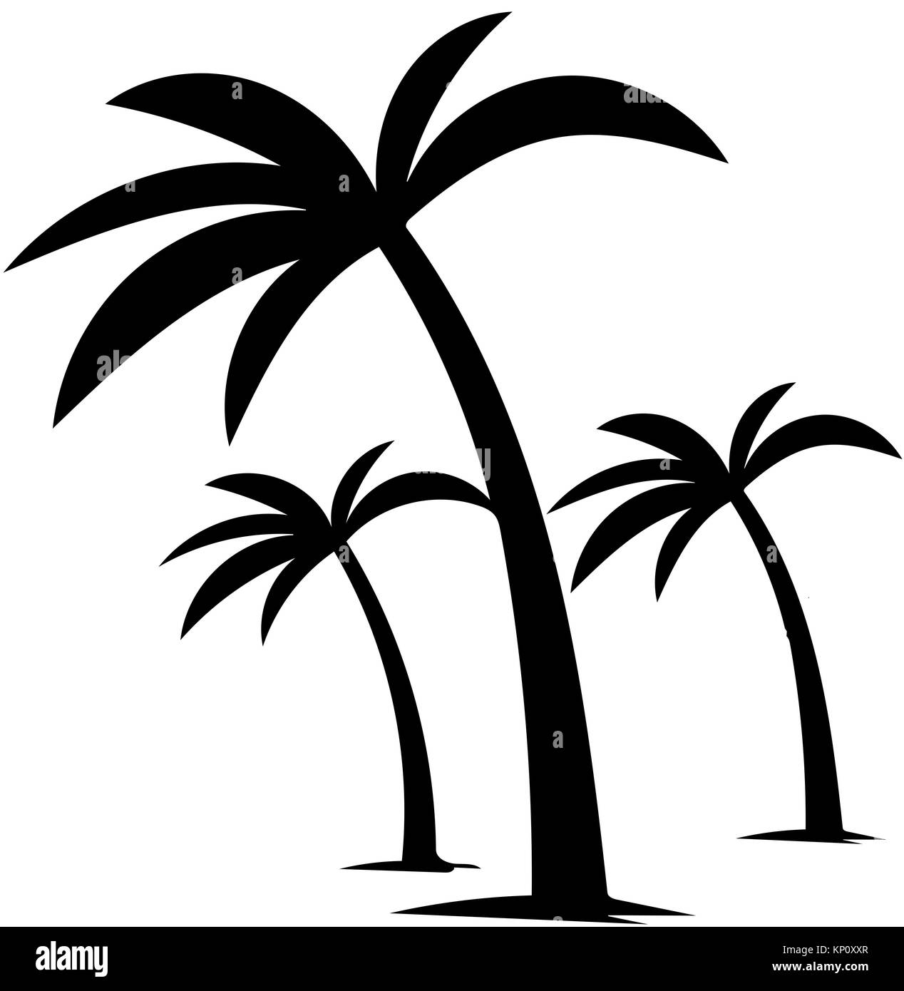 Palmen Palme Früchte ernten. Stockfoto