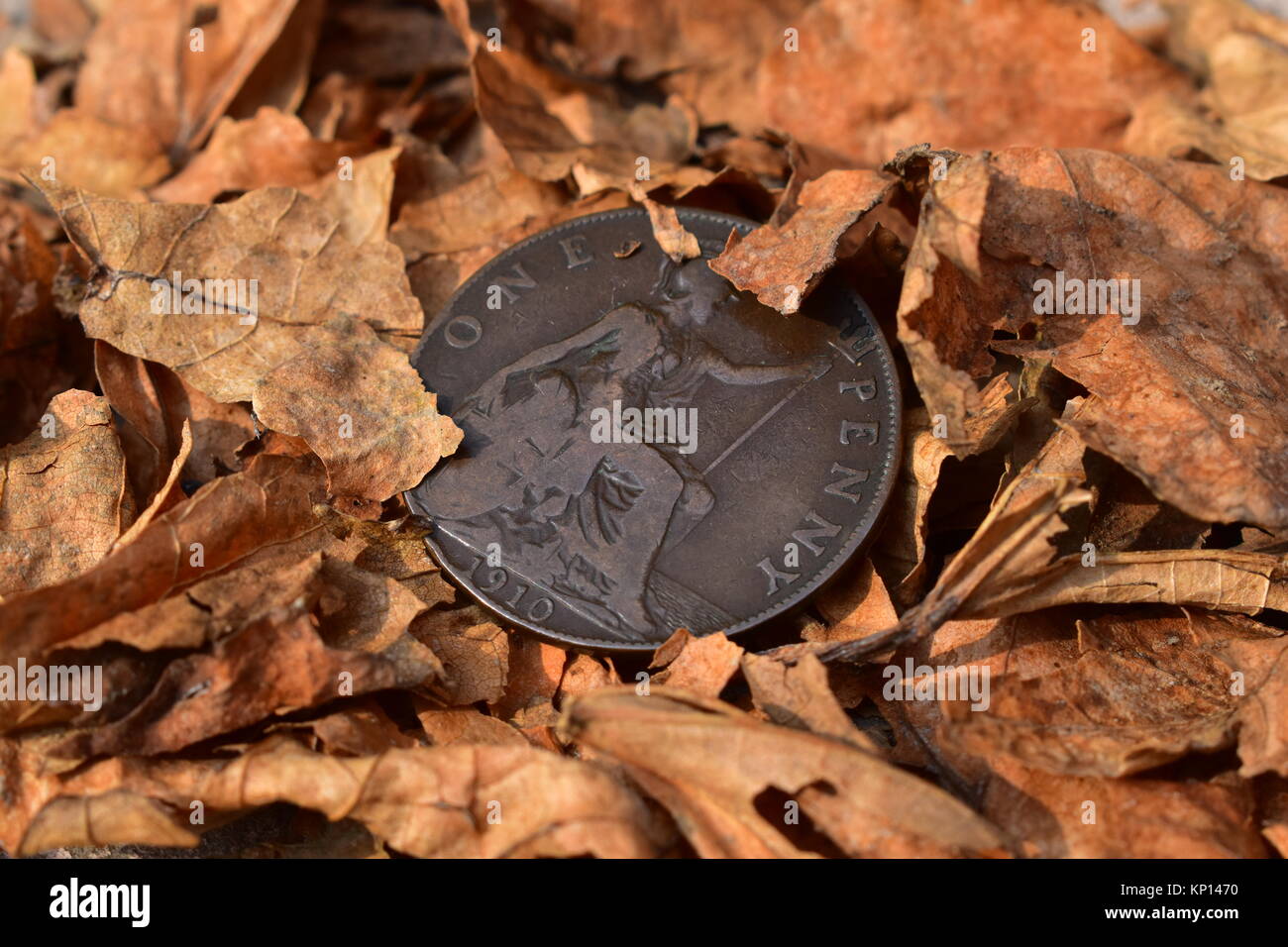 Ein Jahrhundert alte Britische Münze (einen Cent) auf einem Bett von getrockneten Blätter. Stockfoto