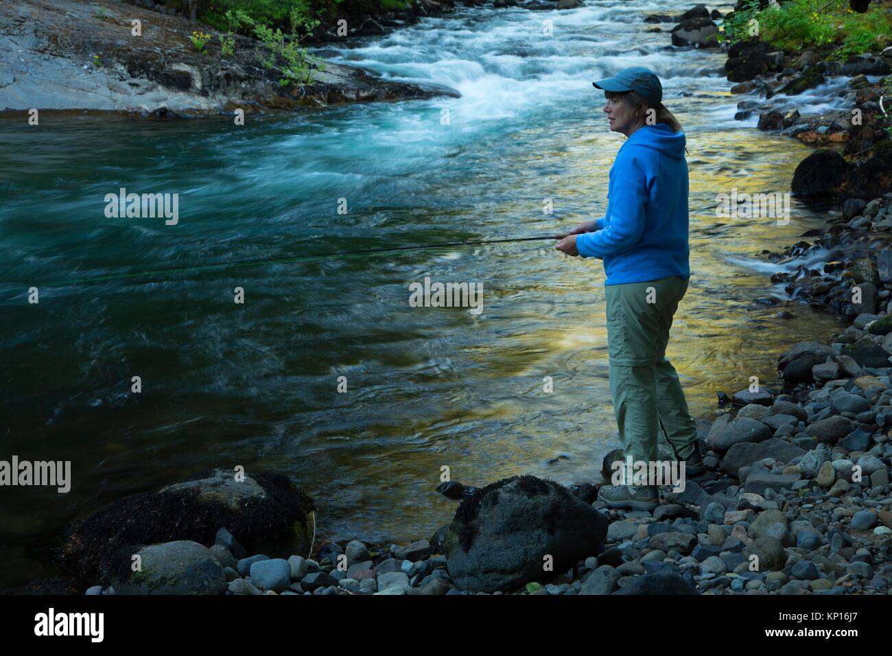 Fliegenfischen der Lewis River, Gifford Pinchot National Forest, Washington. Stockfoto