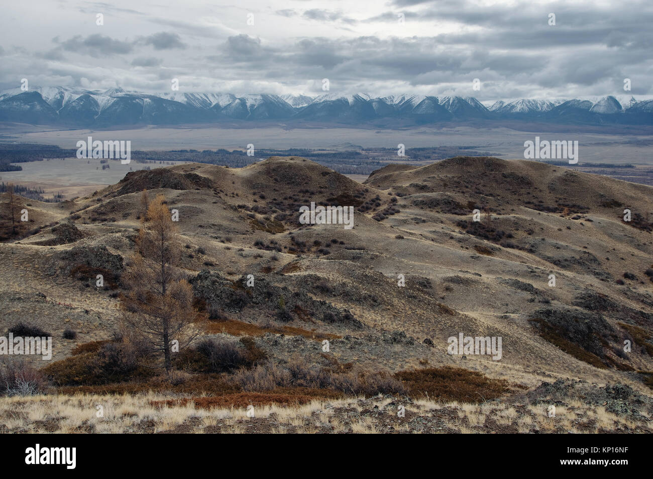 Dramatischer dark Wüste Steppe auf einem Hochland Hochplateau mit  Reichweiten von Snow Peaks auf einen Horizont Sturm skyline Kurai Altai  Gebirge Sibirien Russland Stockfotografie - Alamy