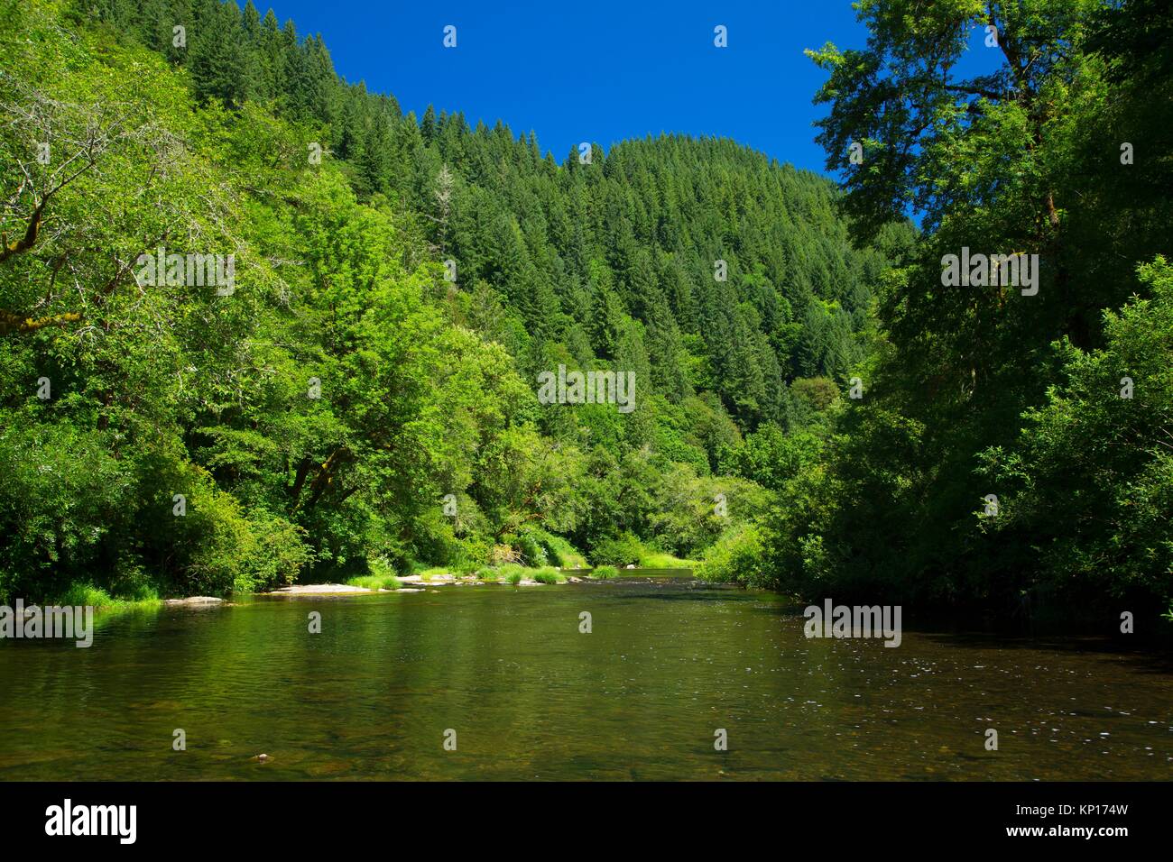 Usa oregon alsea fluss Fotos und Bildmaterial in hoher Auflösung Alamy