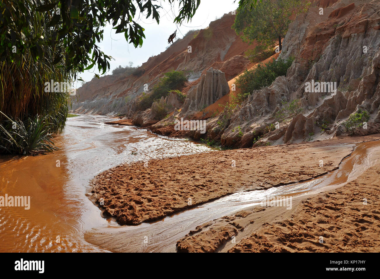 Fairy Stream (Suoi Tien), Mui Ne, Vietnam. Der kleine Strom ist der Ort, wo die Wüste, den Dschungel erfüllt. Geologische Attraktion mit roten und weißen s Stockfoto