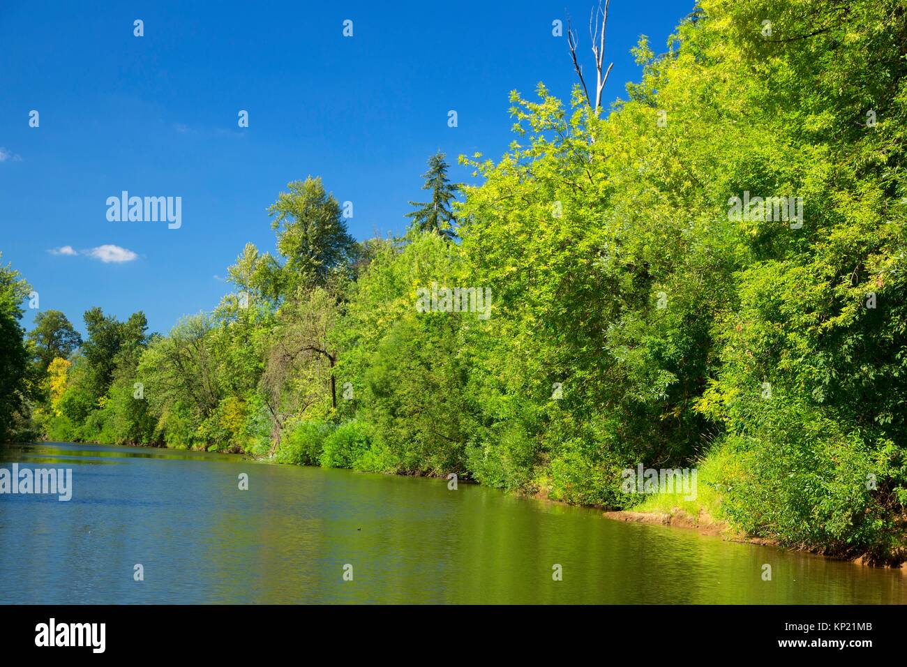 Fluss, Dayton Landung Yamhill County Park, Yamhill County, Oregon. Stockfoto