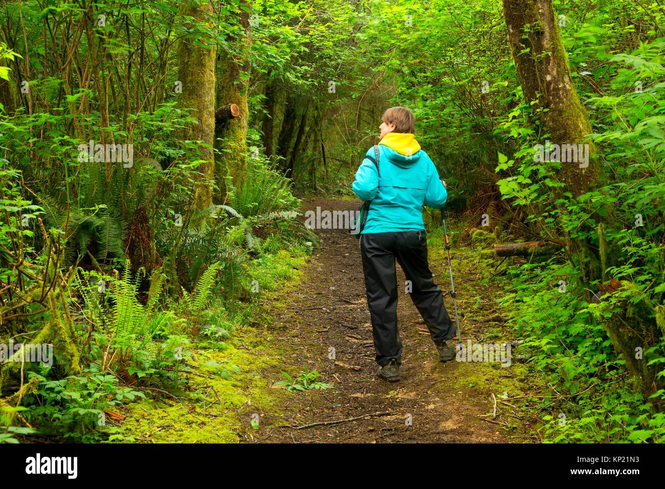 Wanderweg, Freunde von wildwoods Open Space, Lincoln City, Oregon. Stockfoto