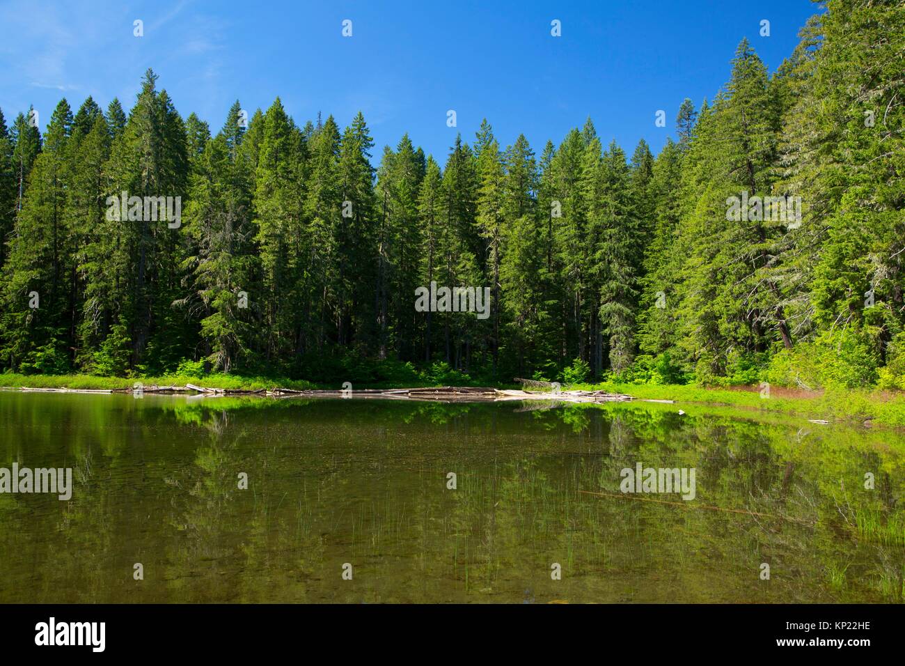 Fay See, Willamette National Forest, Oregon. Stockfoto