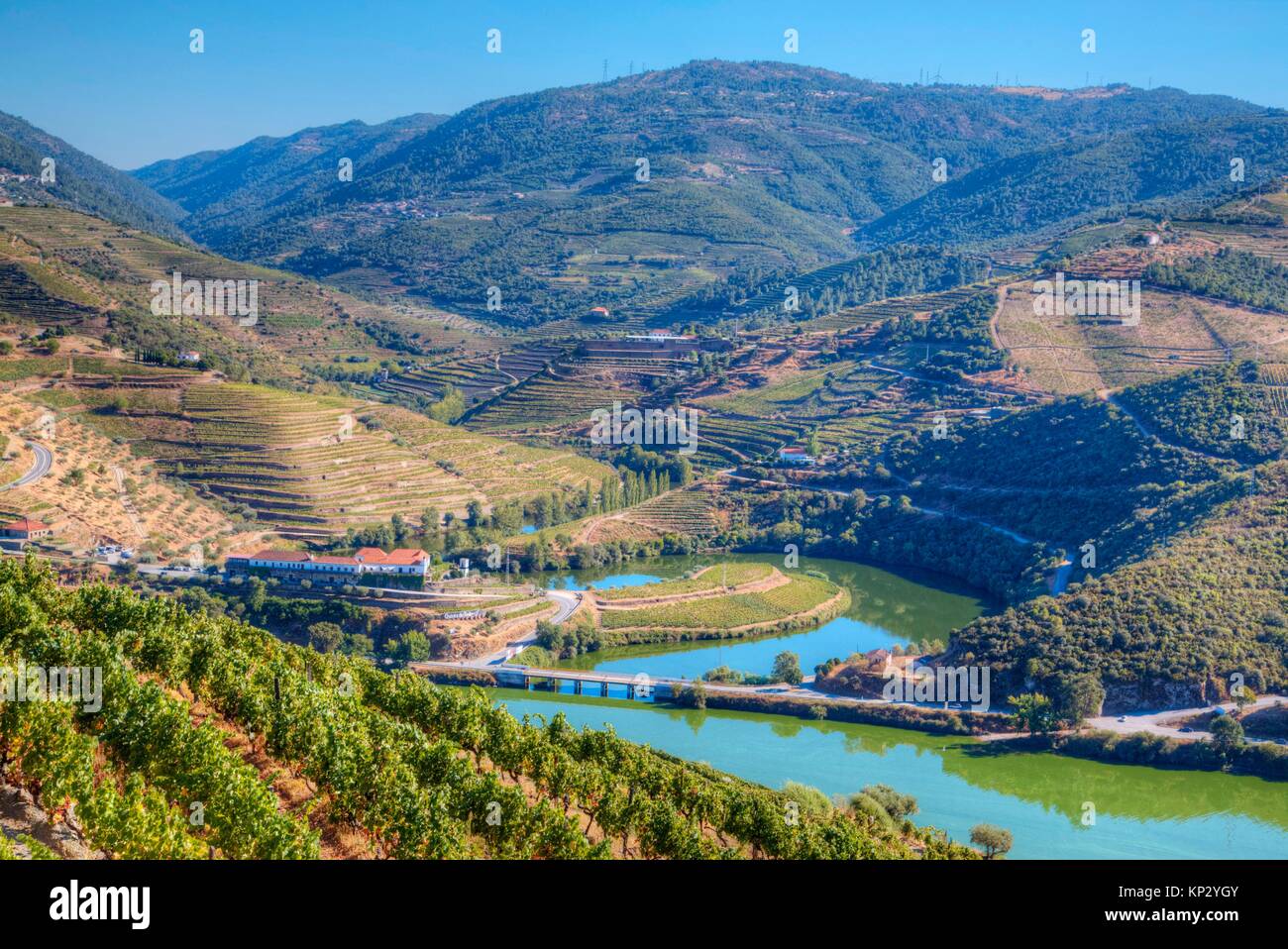 Weinberge und den Fluss Douro Wein Alto Douro Tal, UNESCO-Hertiage Region, Portugal 