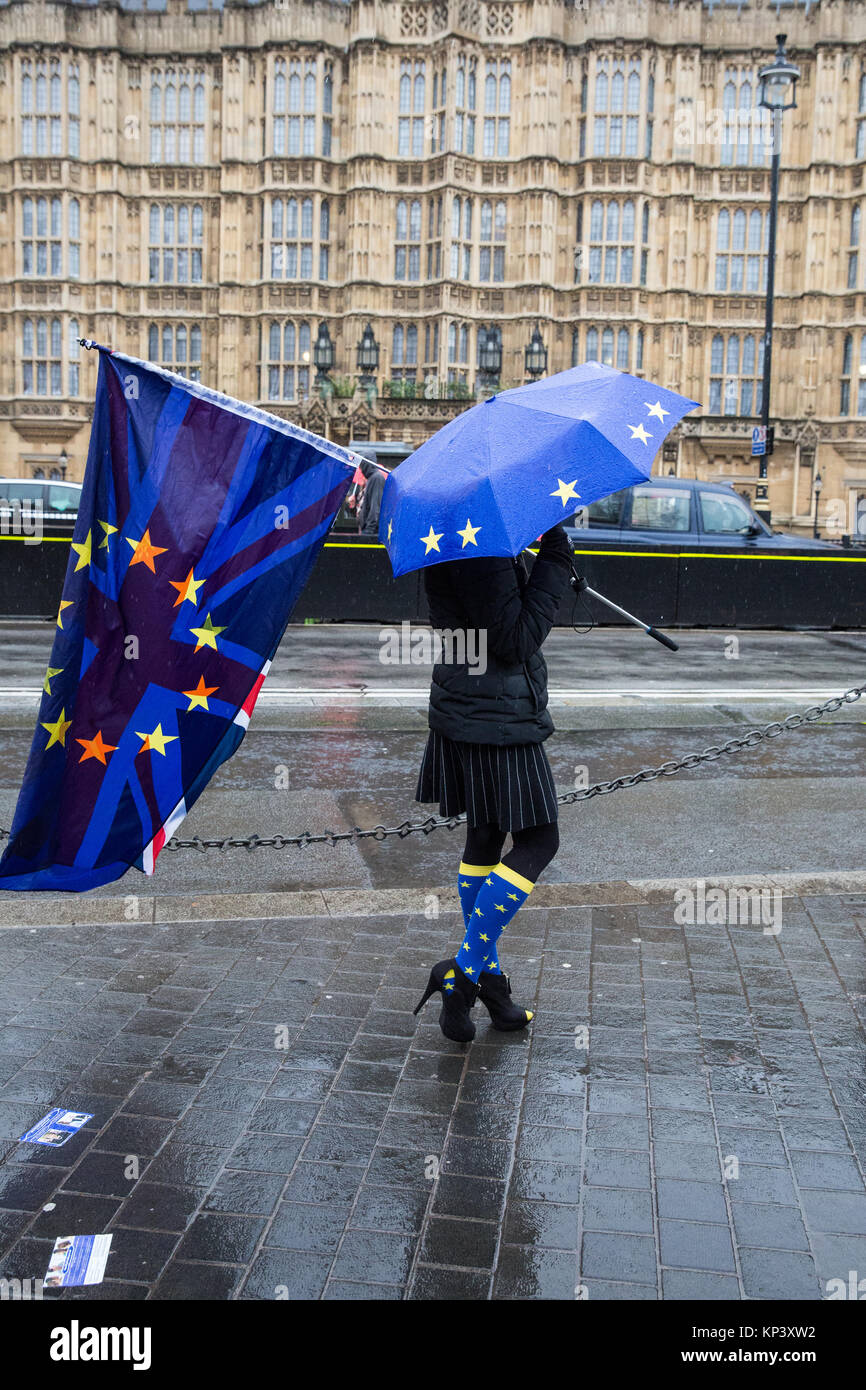 London, Großbritannien. 12. Dezember, 2017. Eine Anti-EU-Brexit Demonstrant das Tragen von Socken und Durchführung einer EU-Flagge und einem Union Jack außerhalb des Parlaments. Credit: Mark Kerrison/Alamy leben Nachrichten Stockfoto