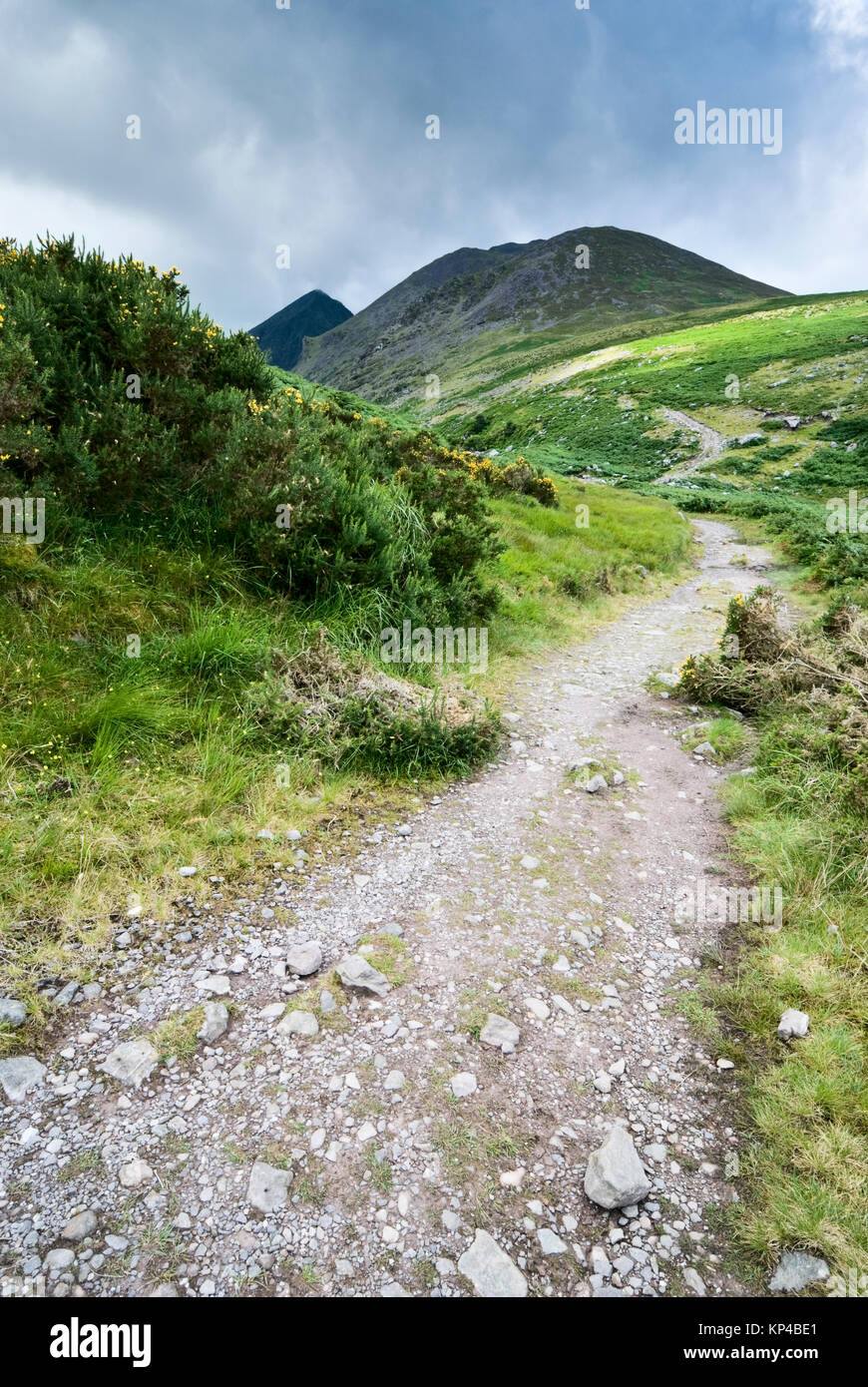 Bergstraße in Halbinsel Dingle, County Kerry, Irland Stockfoto