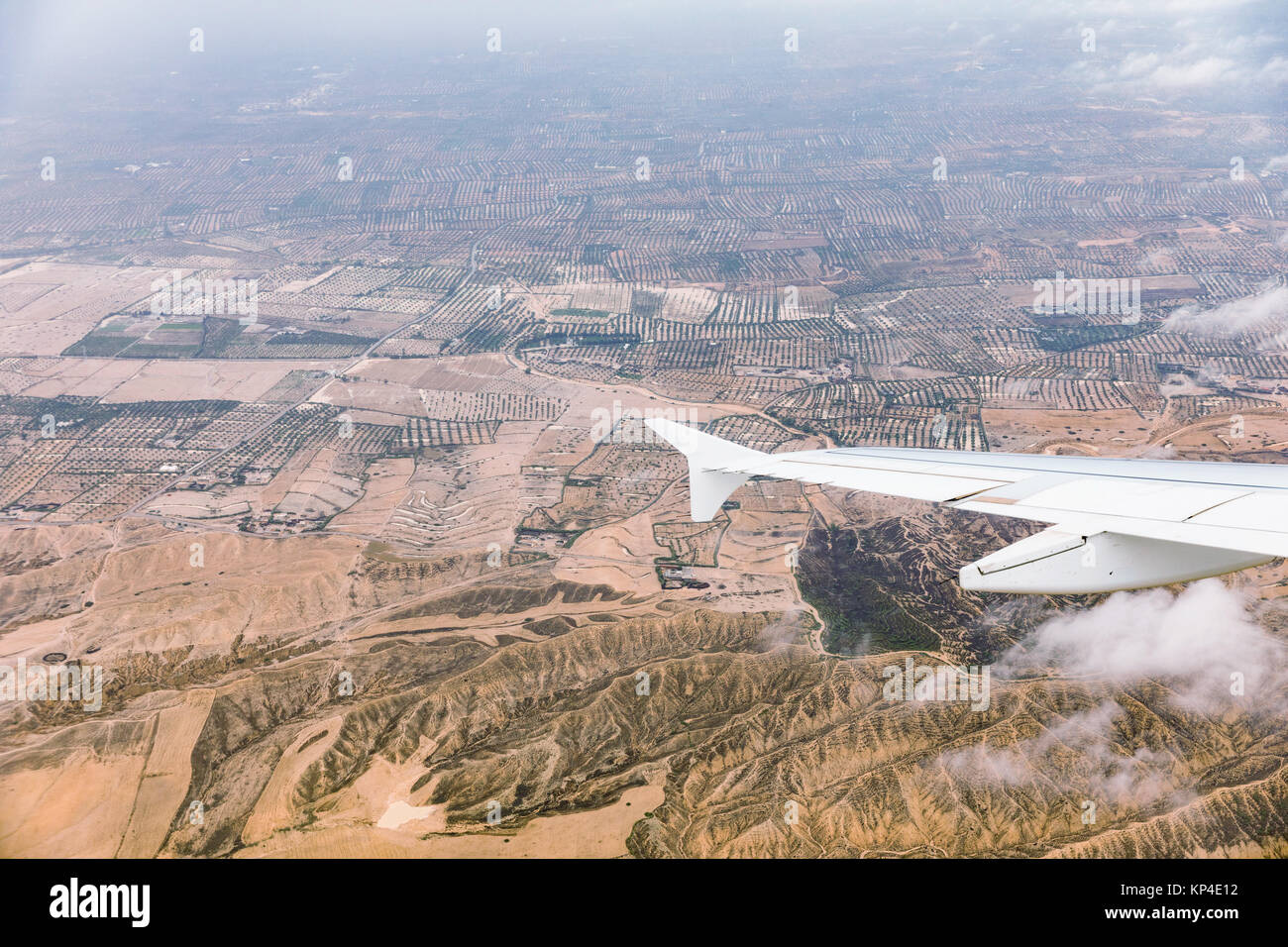 Luftaufnahme der Landschaft in Tunesien. Wüste gepflanzt mit Bäumen. Blick aus dem Flugzeug. Stockfoto