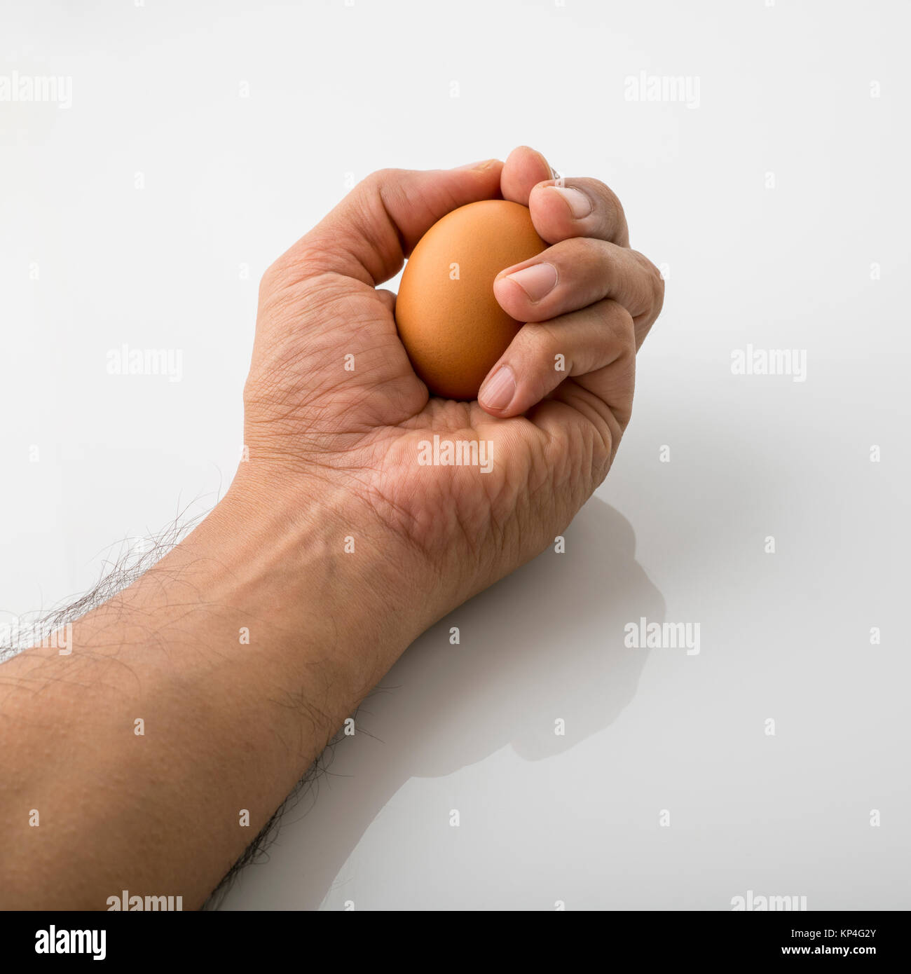 Nahaufnahme eines menschlichen Faust Holding Braun Ei isoliert auf weißem Hintergrund Schuß im Studio. Stockfoto