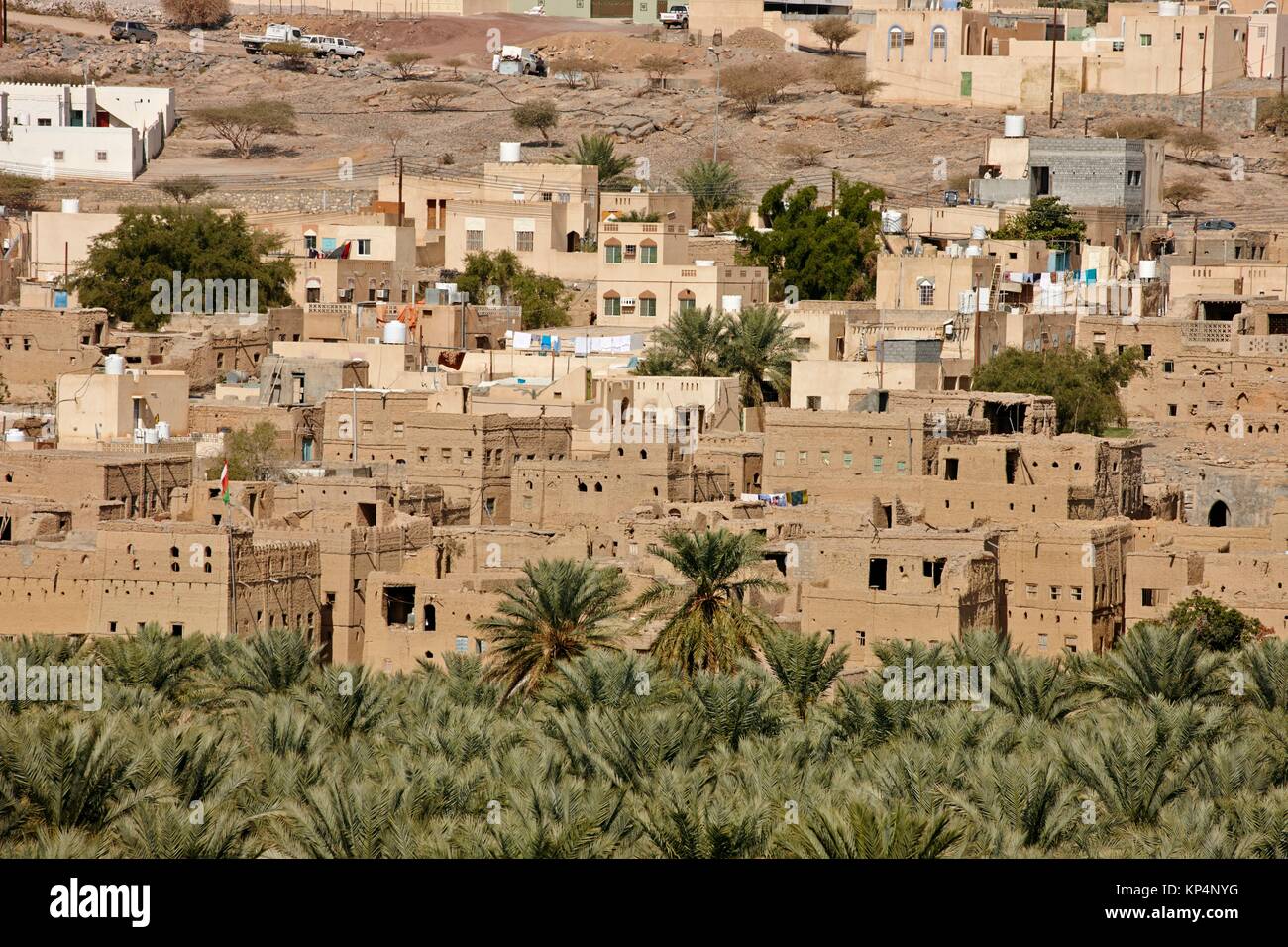 Palmen und Stadtbild. Historische Stadt Al Hamra, Oman. Stockfoto