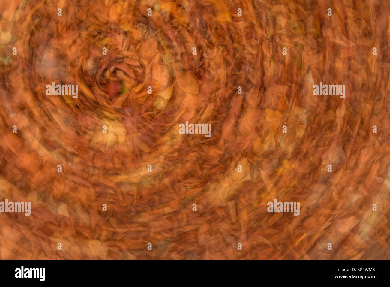 Herbst Blätter runde Entgraten Stockfoto