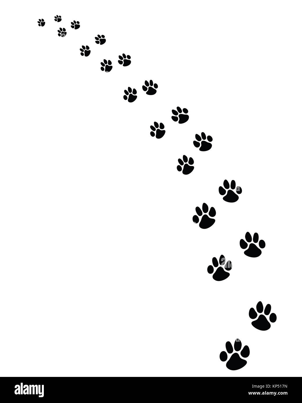 Fußabdrücke des Hundes Stockfoto