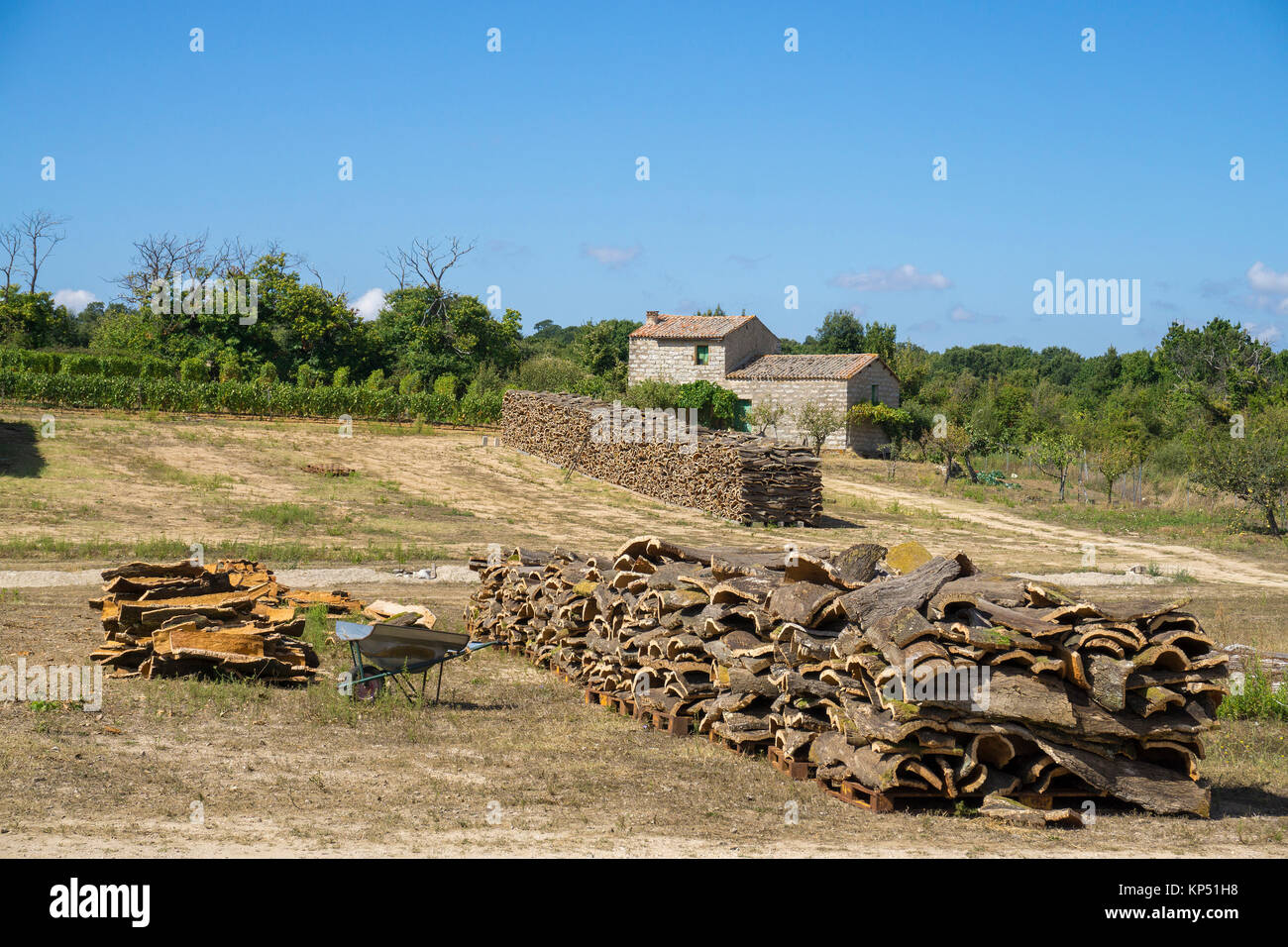 Gestapelte Kruste der Korkeiche (Quercus suber), Olbia-Tempio, Gallura, Sardinien, Italien, Mittelmeer, Europa Stockfoto